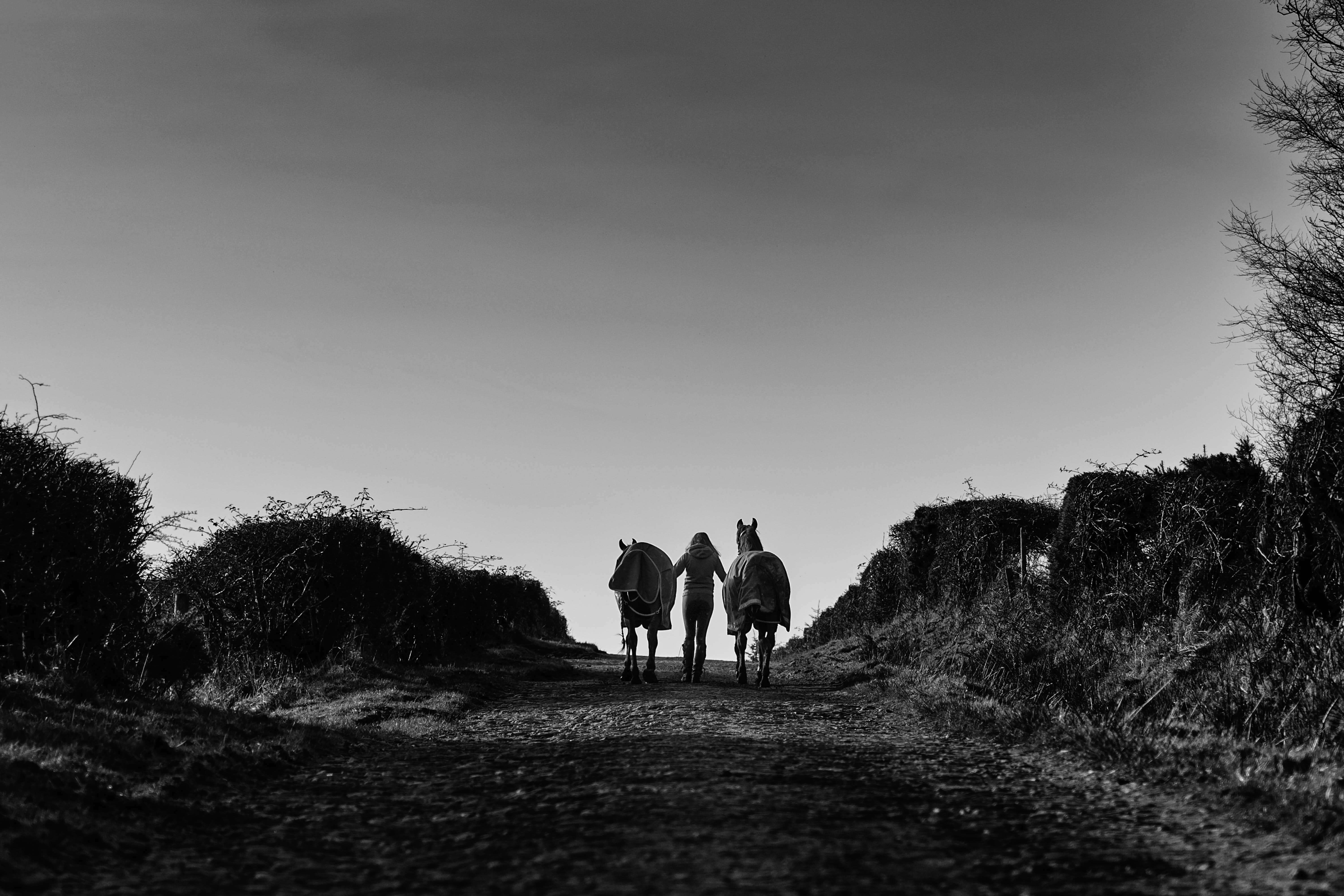 A Lesson on Trust & Walking In Agreement